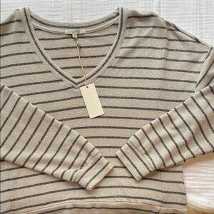 Z Supply Women's V-Neck Striped Sweater - Gray and Cream